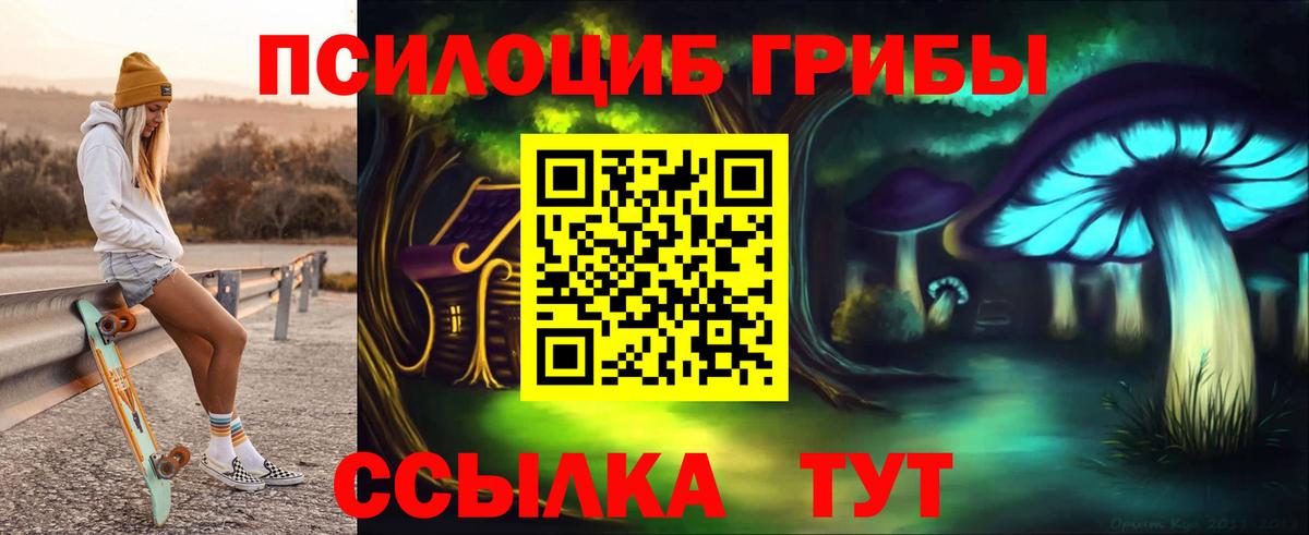 Псилоцибиновые грибы мицелий Абинск