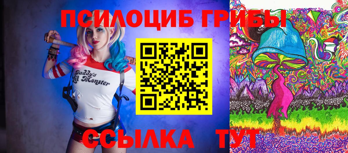 Псилоцибиновые грибы MAGIC MUSHROOMS  Абинск  Галлюциногенные грибы GOLDEN TEACHER 