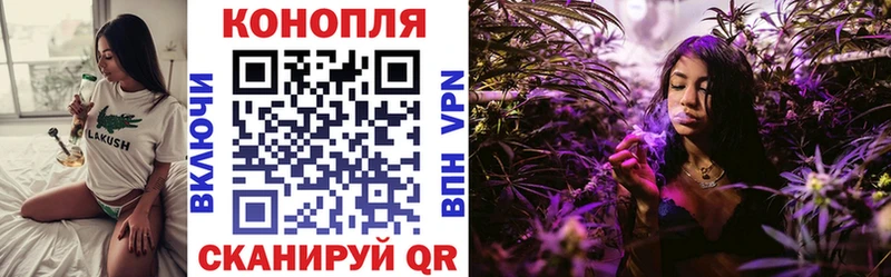 где продают наркотики  Абинск  Шишки марихуана White Widow 